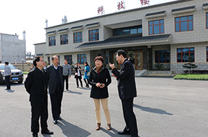 岳陽(yáng)市政協(xié)領(lǐng)導(dǎo)蒞臨公司考察調(diào)研